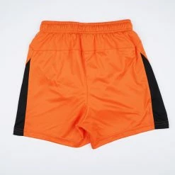 Outlet ⌛ Puma x OFI Crete F.C Shorts With Brief Kid's Shorts for Clothing | Team Appearances 🌟 -Cheap Football Store puma liga shorts with brief 1
