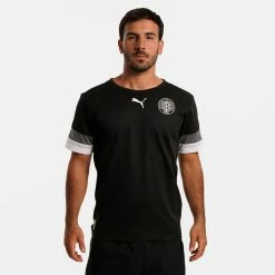 Cheapest ✨ Puma X OFI Team Rise Jersey Men's T-shirt for OFI F.C. Official Store 👏