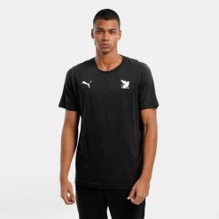 Budget โ๏ธ Puma Teamgoal 23 Men's T-Shirt for Clothing | Team Appearances ๐